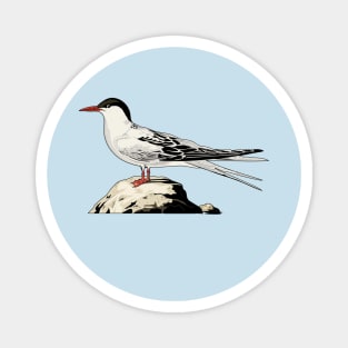 Arctic tern Magnet